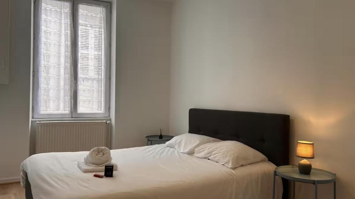 Le St Antoine - Gare Apartment Macon